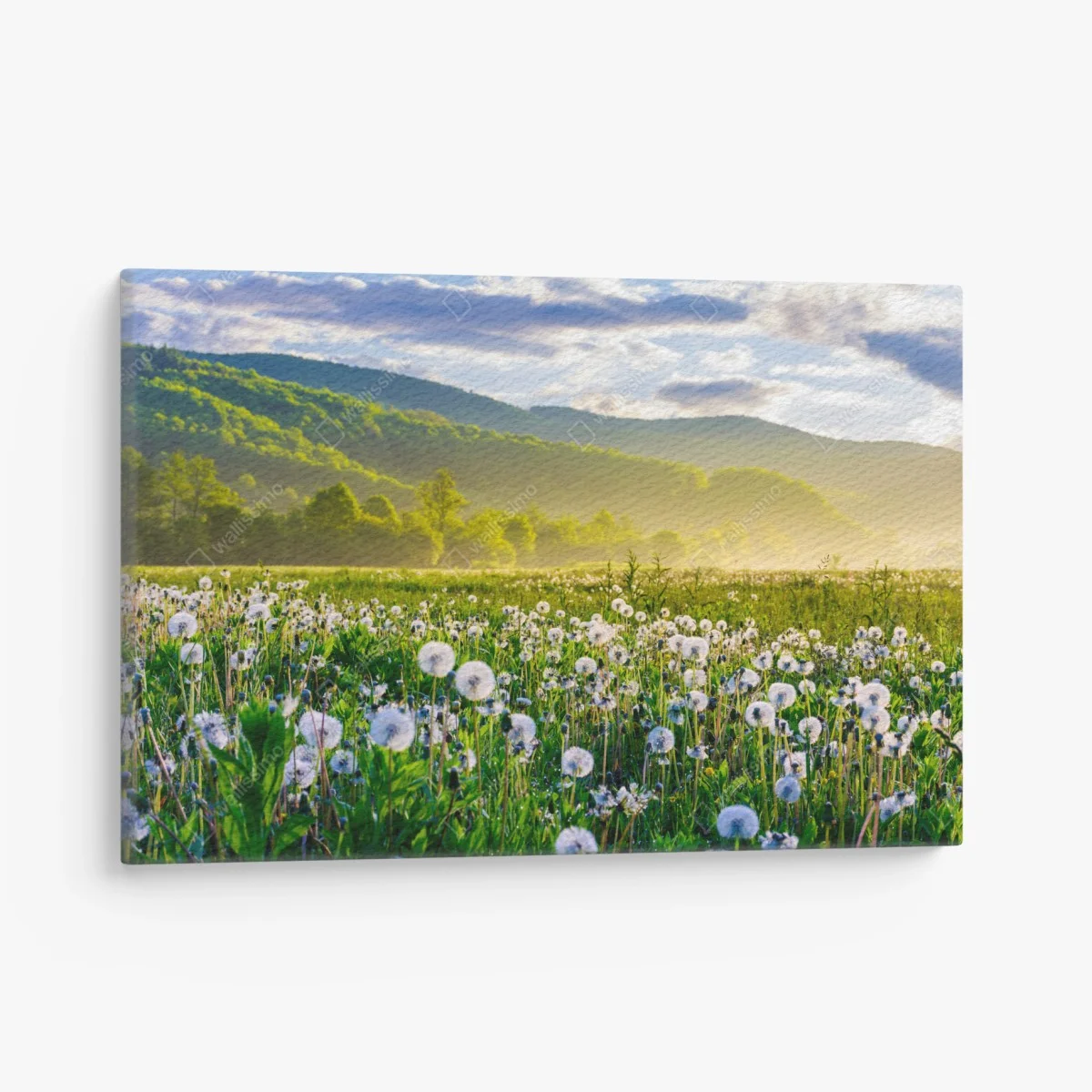 Tableau sur toile pissenlits et brume matinale en montagne – Wallnifity® Tableau sur toile pissenlits et brume matinale en montagne – Wallnifity®