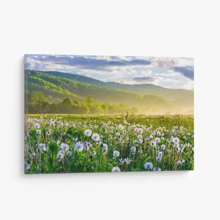 Tableau sur toile pissenlits et brume matinale en montagne – Wallnifity®