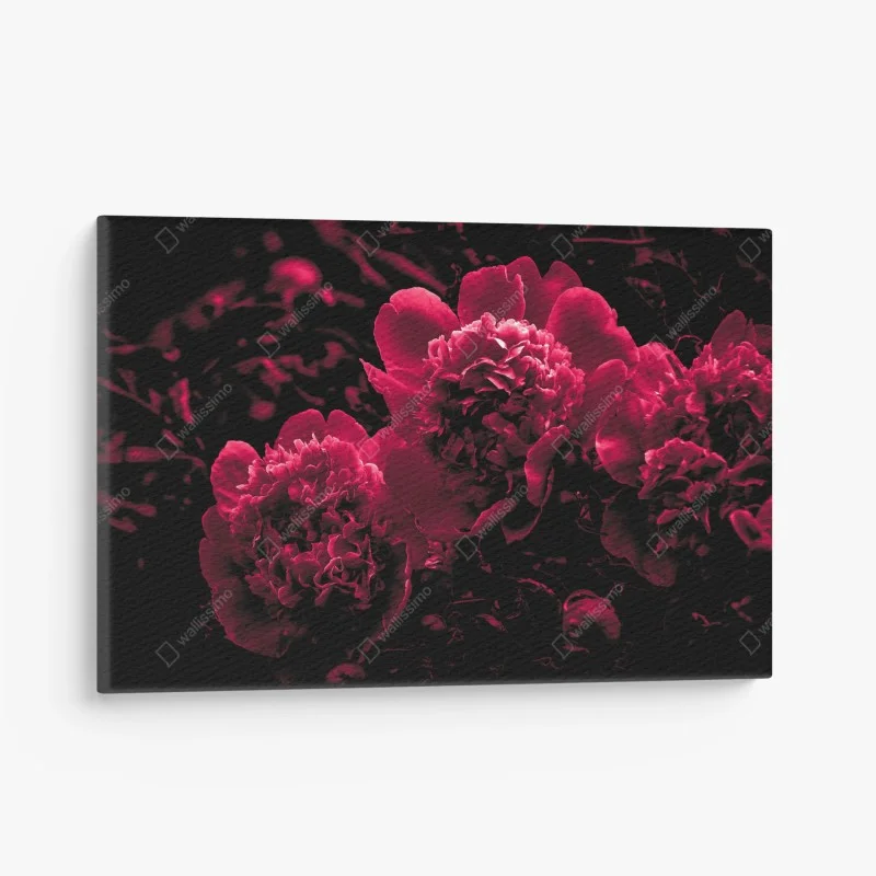 Tableaux sur toile – Wallnifity®