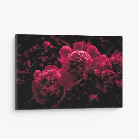 Tableau sur toile pivoines rouge profond sur fond noir – Wallnifity®