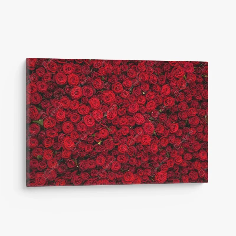 Tableaux sur toile – Wallnifity®