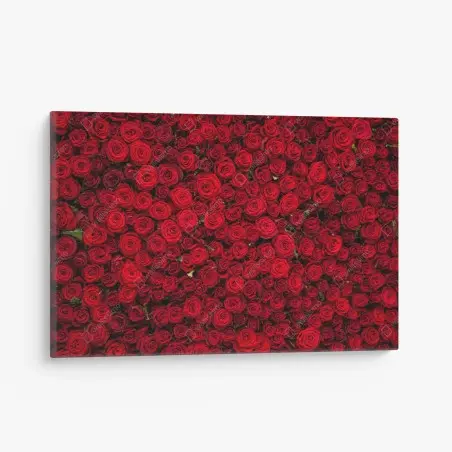 Tableau sur toile mur de roses rouges intenses – Wallnifity®