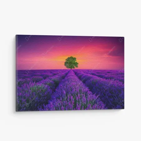 Tableau sur toile champ de lavande et arbre solitaire au coucher de soleil – Wallnifity®