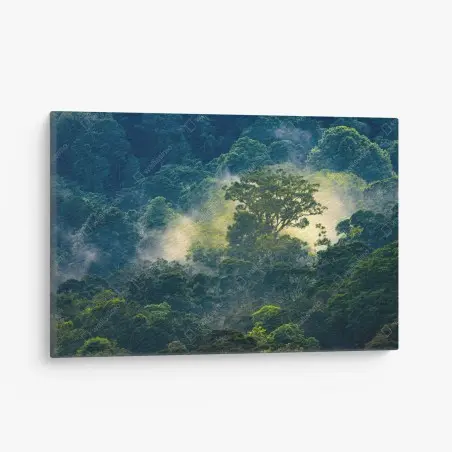 Tableau sur toile canopée tropicale embrumée baignée de lumière – Wallnifity®