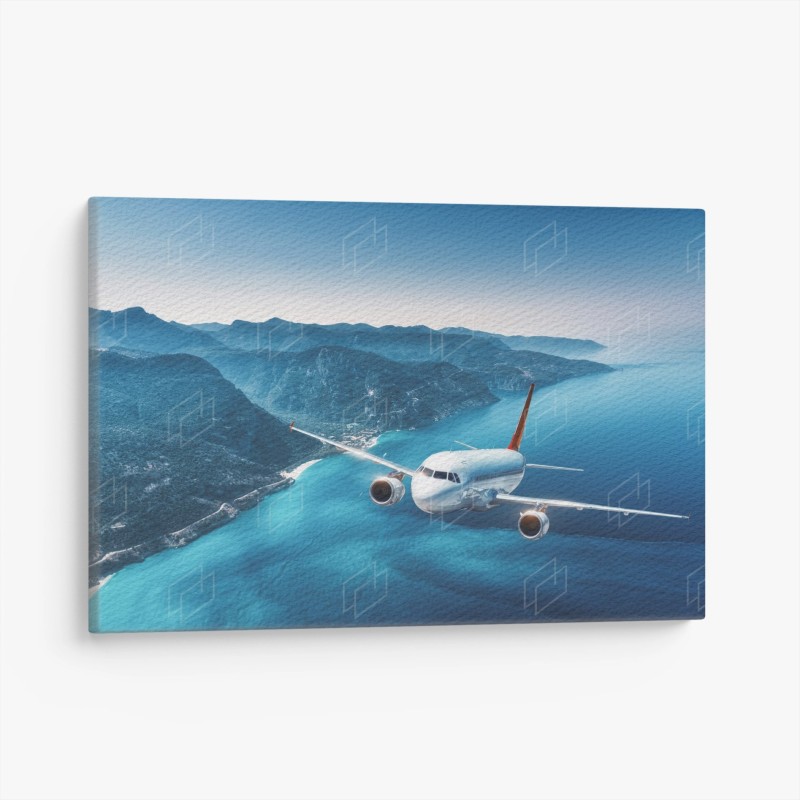Avions – Wallnifity®