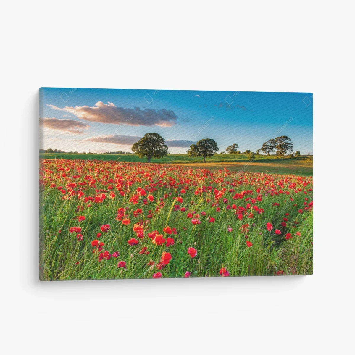 Tableau sur toile champ de coquelicots près de Corbridge – Wallnifity® Tableau sur toile champ de coquelicots près de Corbridge – Wallnifity®