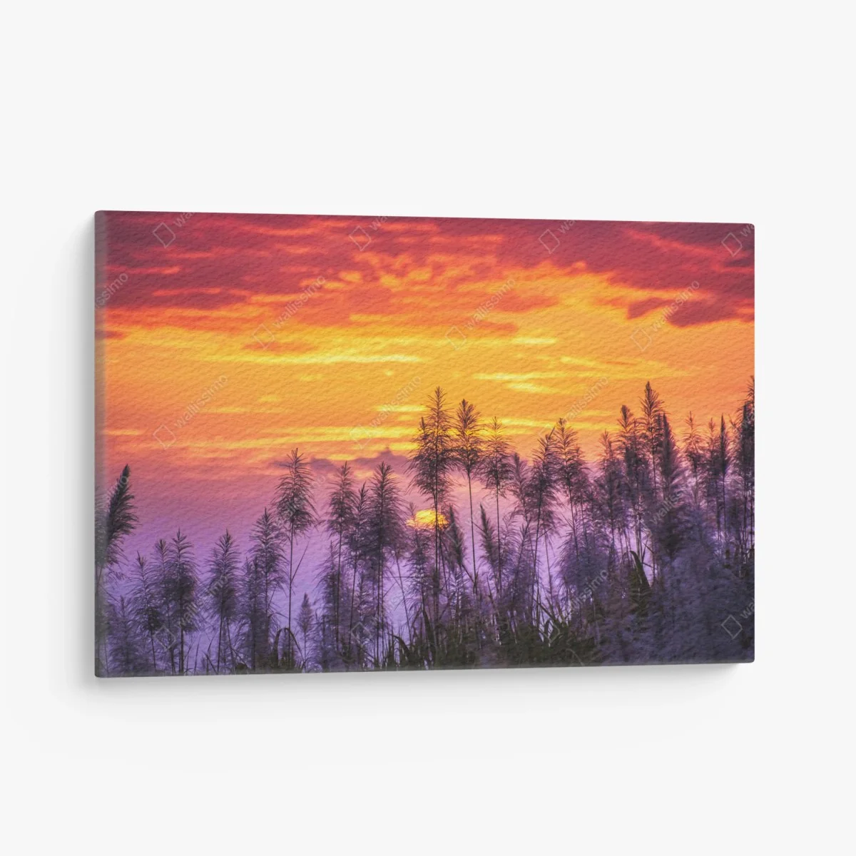 Tableau sur toile crépuscule doré derrière les pampas – Wallnifity® Tableau sur toile crépuscule doré derrière les pampas – Wallnifity®