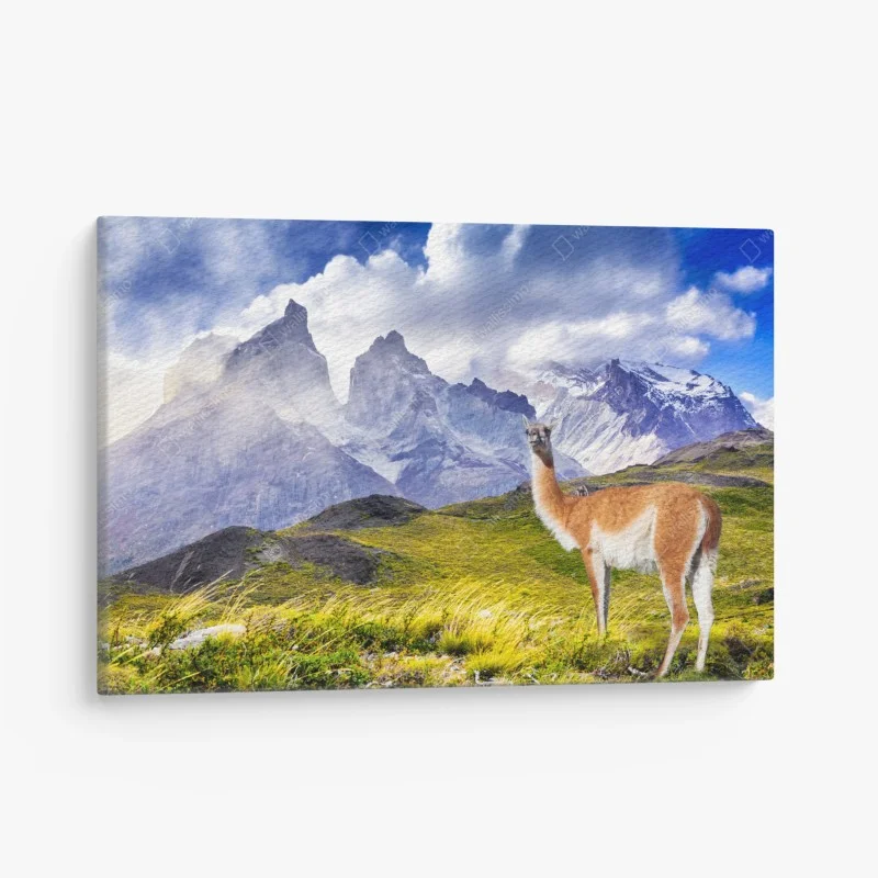 Salon – Wallnifity®