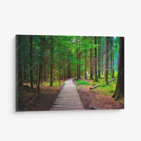 Tableau sur toile sentier en bois au cœur de la forêt – Wallnifity®