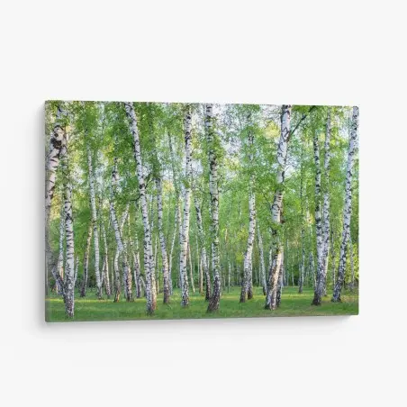 Tableau sur toile forêt de bouleaux en été – Wallnifity®