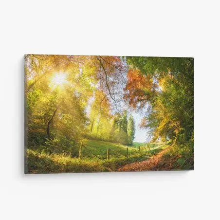 Tableau sur toile promenade en forêt aux couleurs d'automne – Wallnifity®