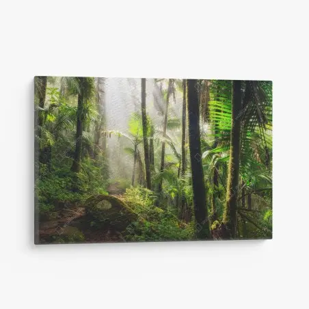 Tableau sur toile sentier lumineux dans la forêt tropicale – Wallnifity®