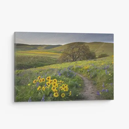 Tableau sur toile sentier fleuri sous les collines dorées – Wallnifity®