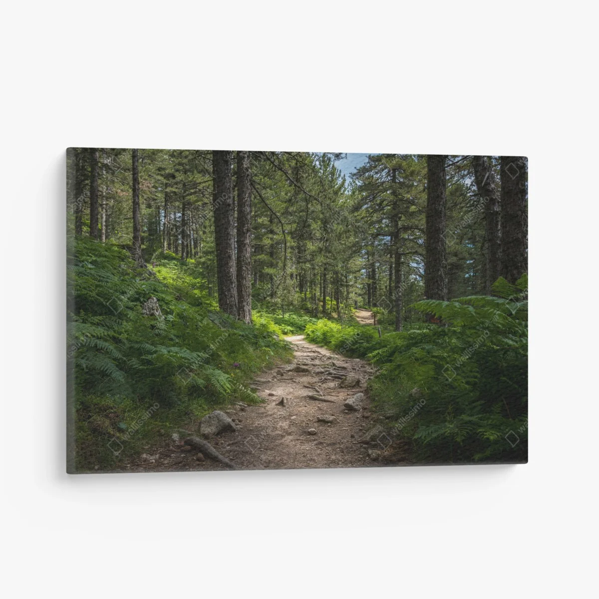 Tableau sur toile chemin forestier verdoyant – Wallnifity® Tableau sur toile chemin forestier verdoyant – Wallnifity®