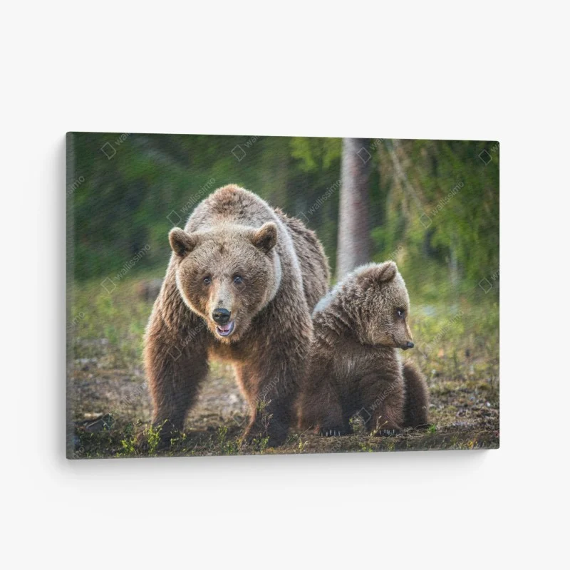 Tableau sur toile ourse et ourson dans la forêt – Wallnifity® Tableau sur toile ourse et ourson dans la forêt – Wallnifity®