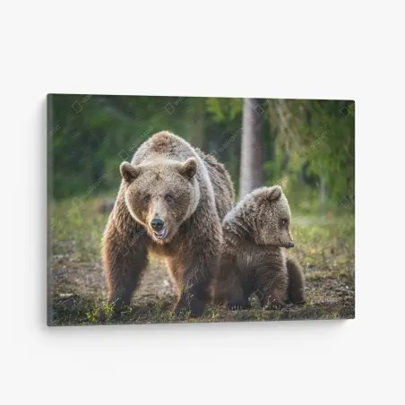 Tableau sur toile ourse et ourson dans la forêt – Wallnifity®