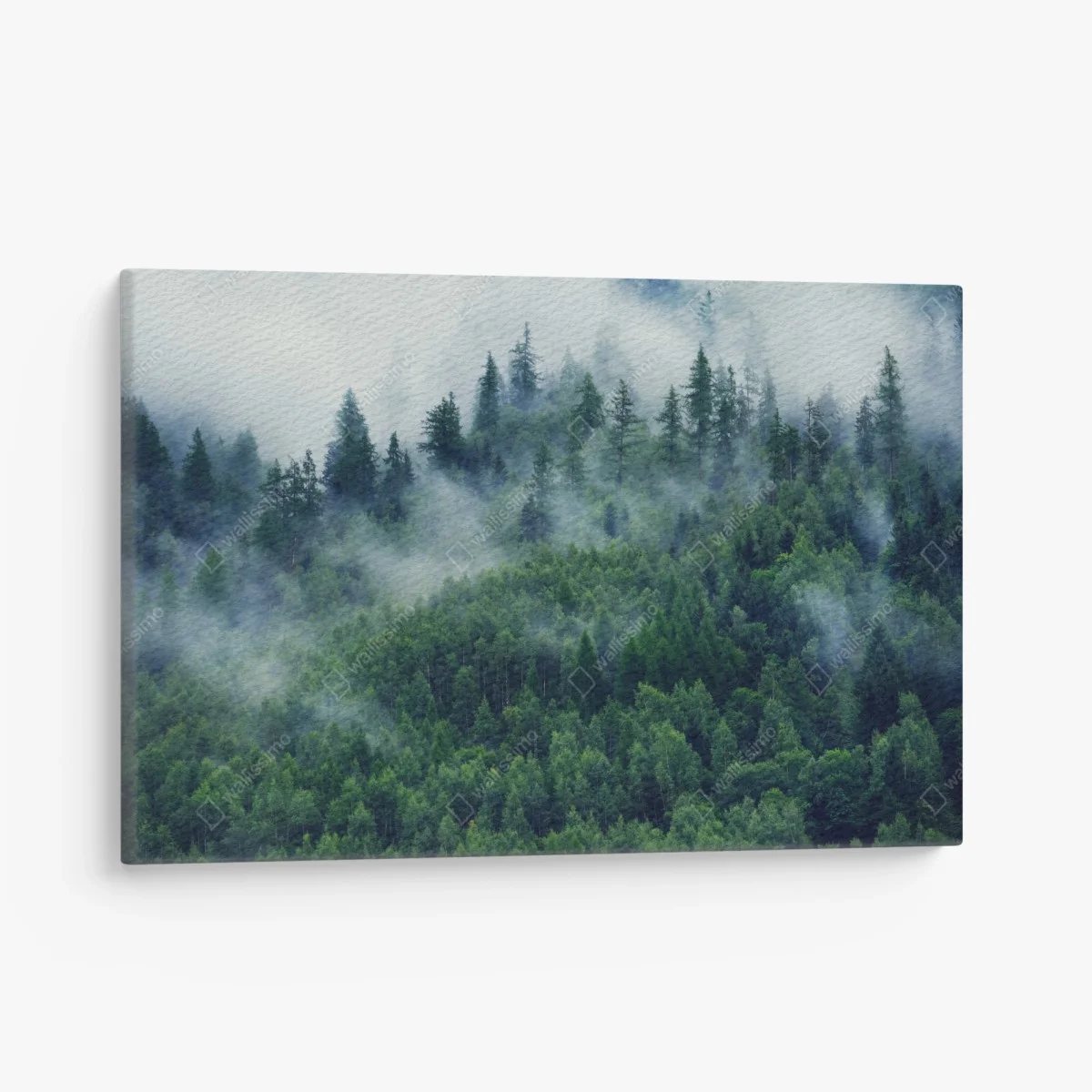 Tableau sur toile forêt embrumée aux nuances de vert – Wallnifity® Tableau sur toile forêt embrumée aux nuances de vert – Wallnifity®
