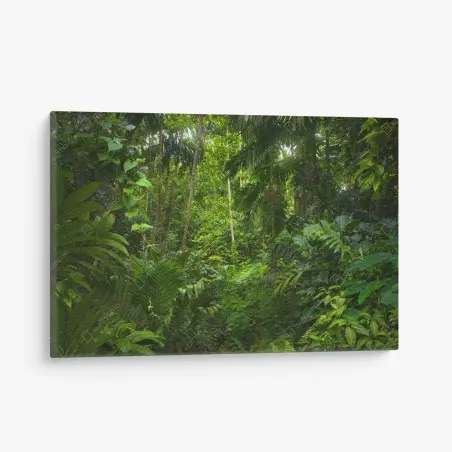 Tableau sur toile oasis de verdure tropicale – Wallnifity®