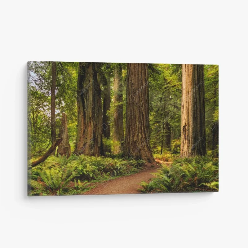 Tableaux sur toile – Wallnifity®
