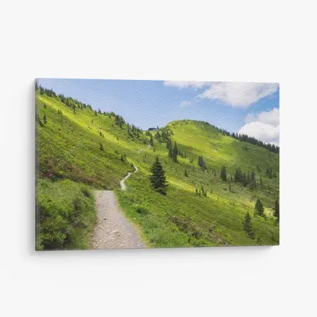 Tableau sur toile sentier de montagne verdoyant au soleil – Wallnifity®