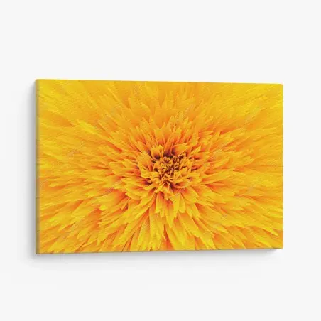 Tableau sur toile éclat de tournesol en macro – Wallnifity®