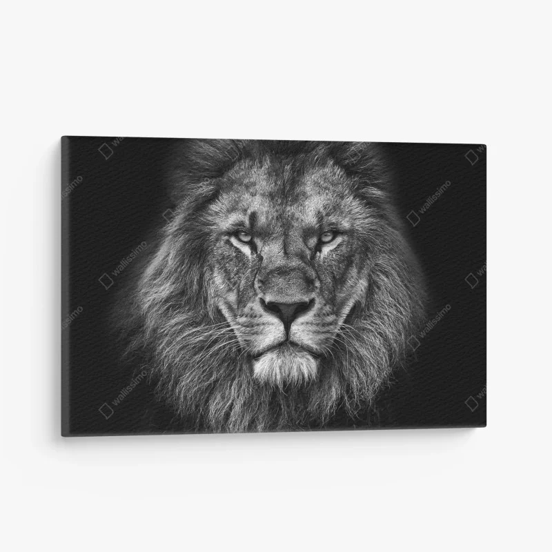 Animaux sauvages – Wallnifity®