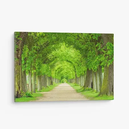 Tableau sur toile allée verdoyante en perspective – Wallnifity®