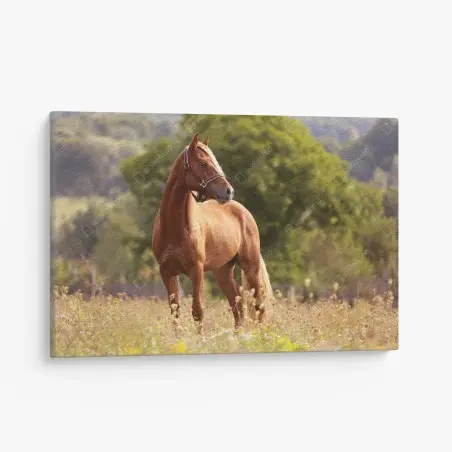 Tableau sur toile cheval alezan majestueux dans un pré – Wallnifity®
