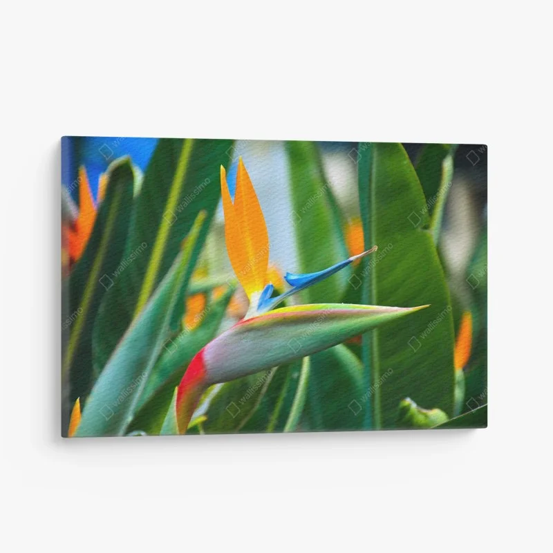 Tableaux sur toile – Wallnifity®