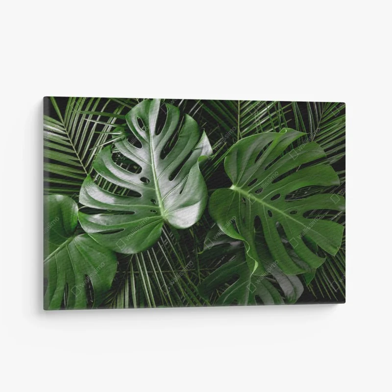 Tableaux sur toile – Wallnifity®