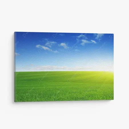 Tableau sur toile horizon ensoleillé sur prairie verdoyante – Wallnifity®