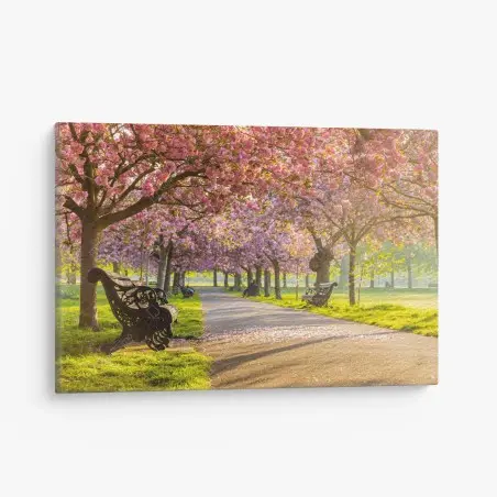 Tableau sur toile promenade sous les cerisiers en fleurs – Wallnifity®