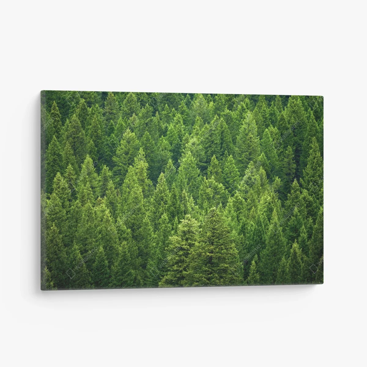 Tableau sur toile forêt de pins émeraude – Wallnifity® Tableau sur toile forêt de pins émeraude – Wallnifity®