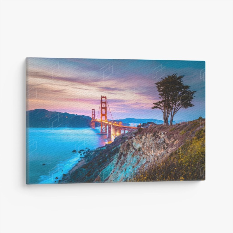 Ponts – Wallnifity®