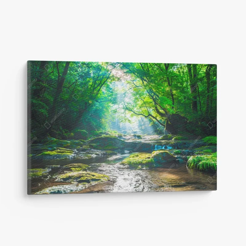 Tableaux sur toile – Wallnifity®