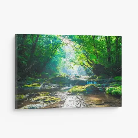 Tableau sur toile clairière lumineuse au bord de la rivière – Wallnifity®