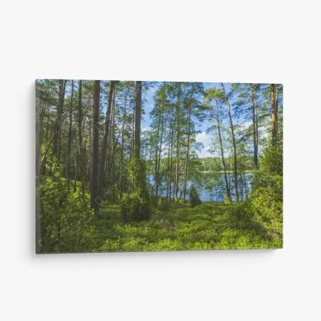 Tableau sur toile paysage forestier au bord du lac – Wallnifity®