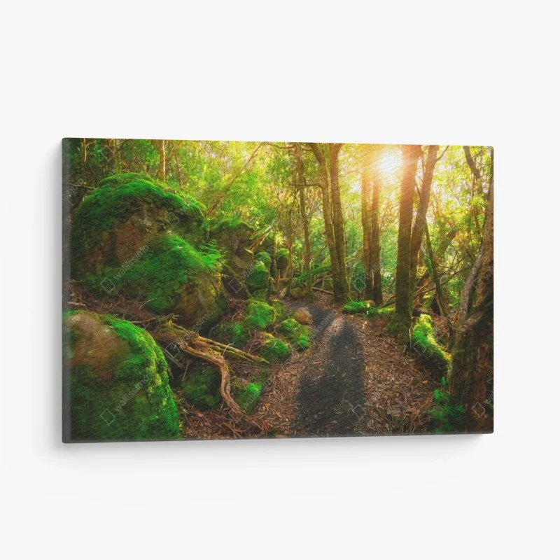 Tableaux sur toile – Wallnifity®