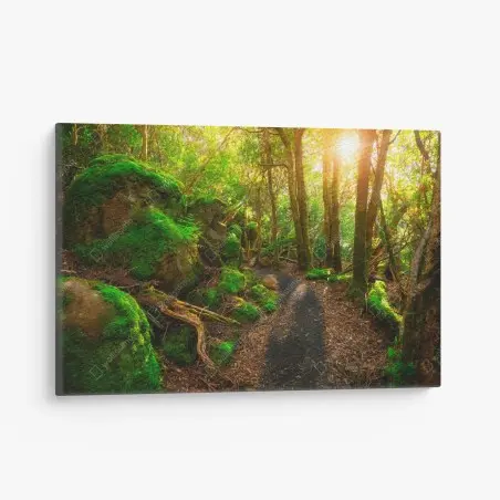 Tableau sur toile chemin verdoyant dans la forêt jurassique de Tasmanie – Wallnifity®
