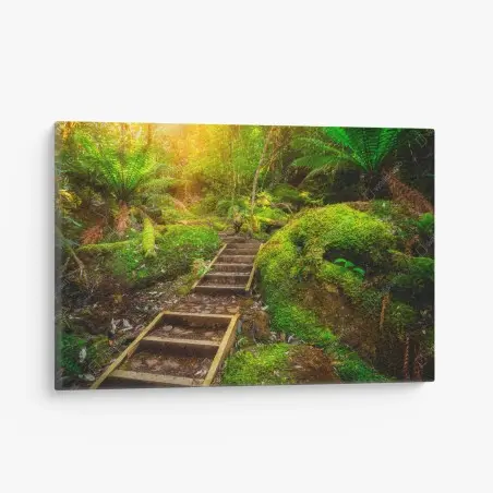 Tableau sur toile sentier luxuriant dans la forêt jurassique de Tasmanie – Wallnifity®
