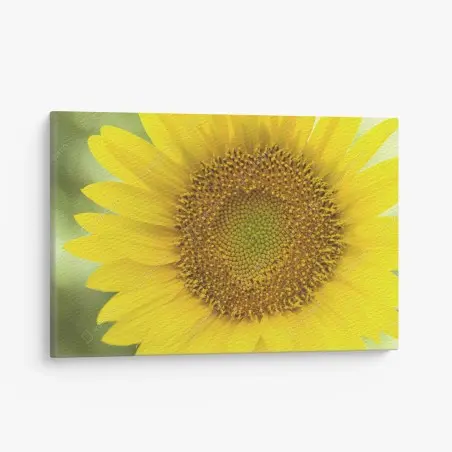 Tableau sur toile cœur de tournesol lumineux – Wallnifity®