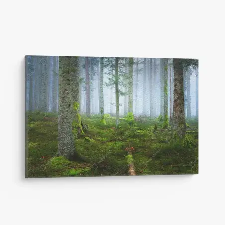 Tableau sur toile brume mystique dans la forêt d'Alsace – Wallnifity®