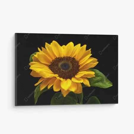 Tableau sur toile éclat de tournesol sur fond noir – Wallnifity®
