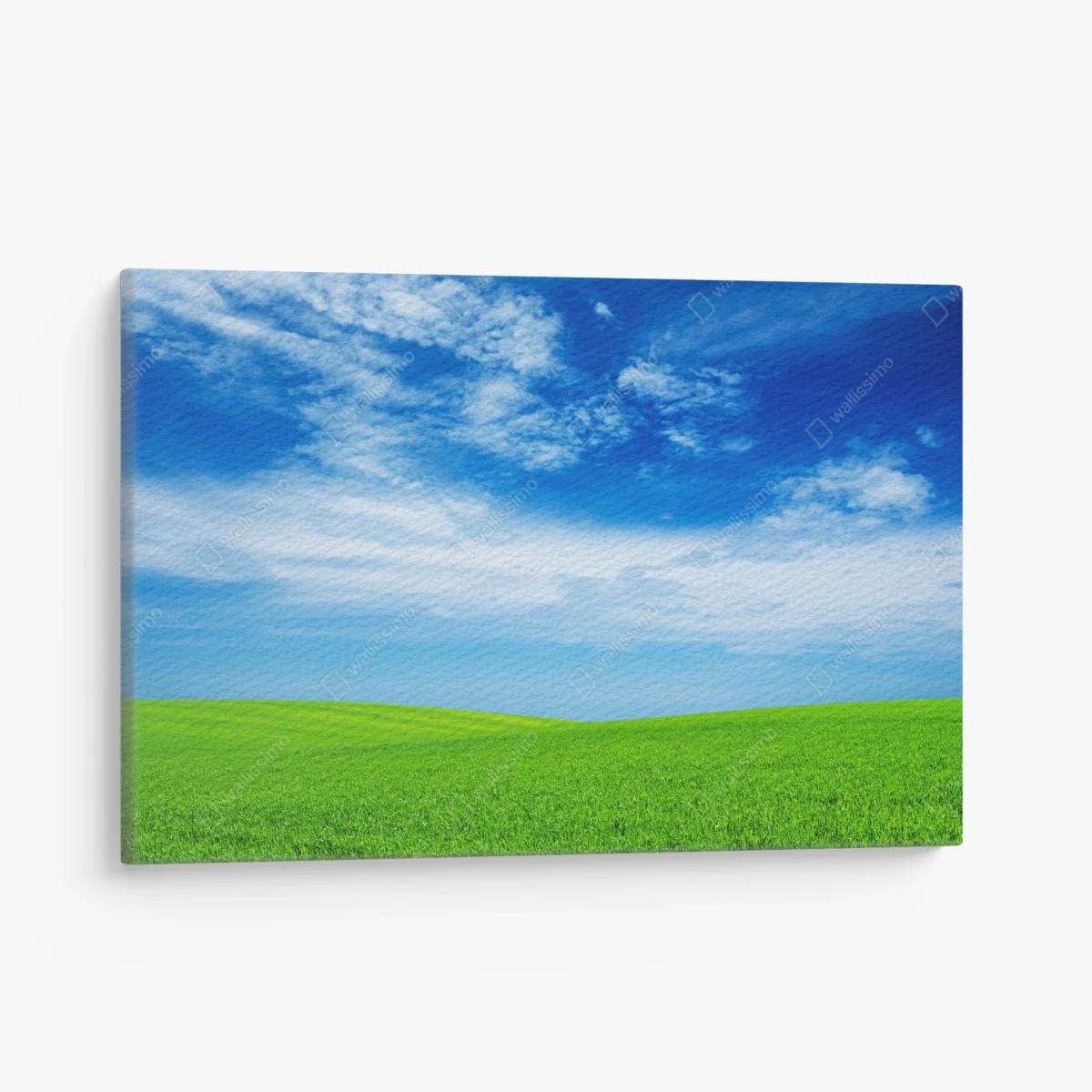 Tableau sur toile horizon verdoyant sous ciel bleu – Wallnifity® Tableau sur toile horizon verdoyant sous ciel bleu – Wallnifity®