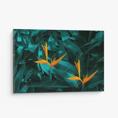 Tableau sur toile oiseaux de paradis sur feuillage turquoise – Wallnifity®