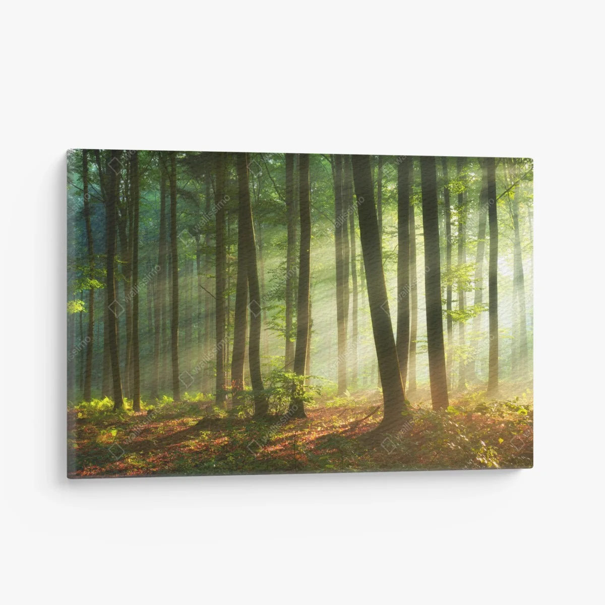 Tableau sur toile forêt en lumière matinale – Wallnifity® Tableau sur toile forêt en lumière matinale – Wallnifity®