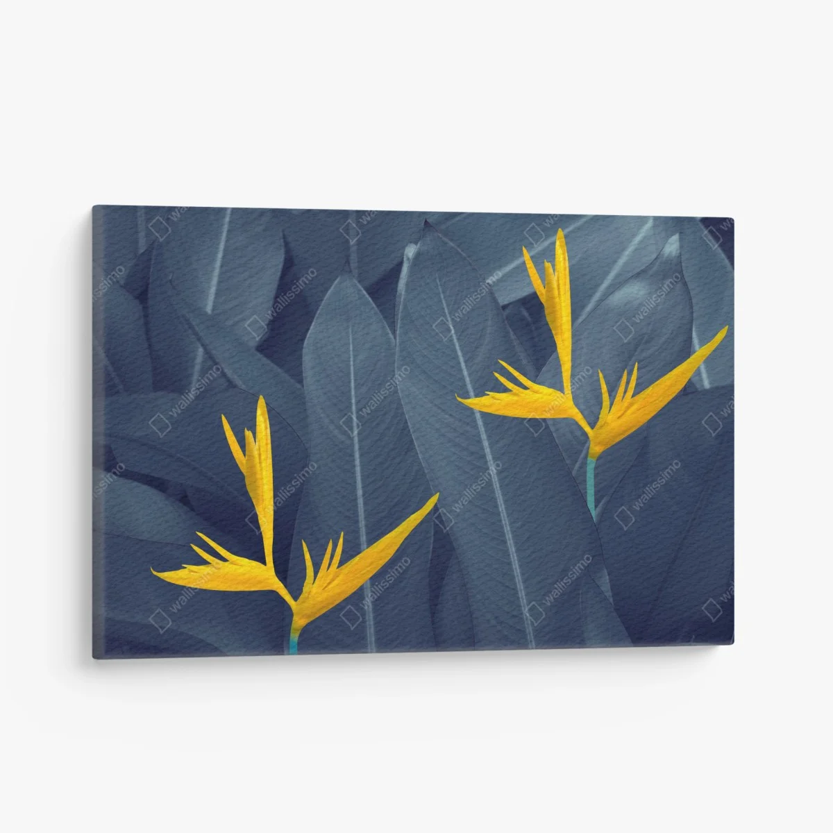 Tableau sur toile composition botanique oiseau de paradis sur feuillage bleu – Wallnifity® Tableau sur toile composition botanique oiseau de paradis sur feuillage bleu – Wallnifity®