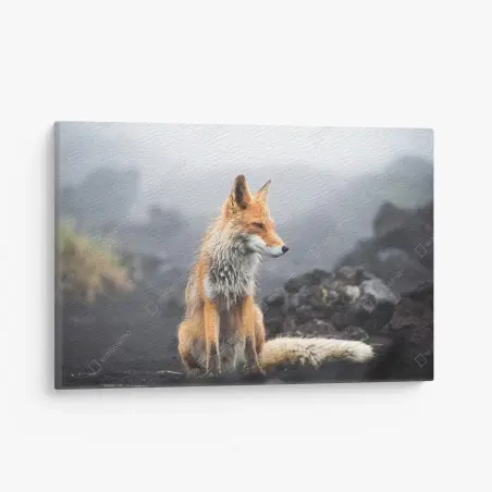 Tableau sur toile renard roux dans la brume – Wallnifity®