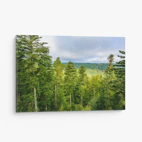 Tableau sur toile paysage automnal de la Forêt-Noire – Wallnifity®