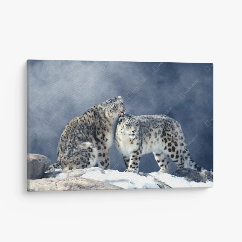 Tableaux sur toile – Wallnifity®